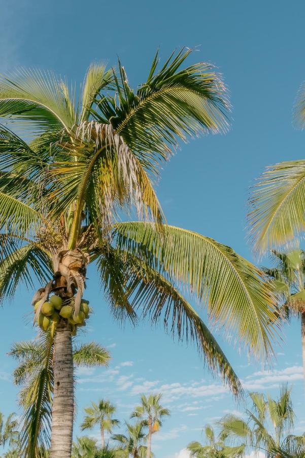 La Poza Boutique Hotel And Spa - Adults 15 Plus Todos Santos Zewnętrze zdjęcie