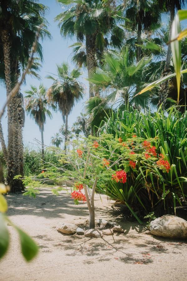 La Poza Boutique Hotel And Spa - Adults 15 Plus Todos Santos Zewnętrze zdjęcie