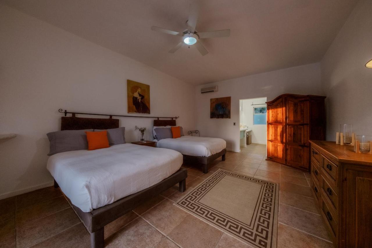 La Poza Boutique Hotel And Spa - Adults 15 Plus Todos Santos Zewnętrze zdjęcie