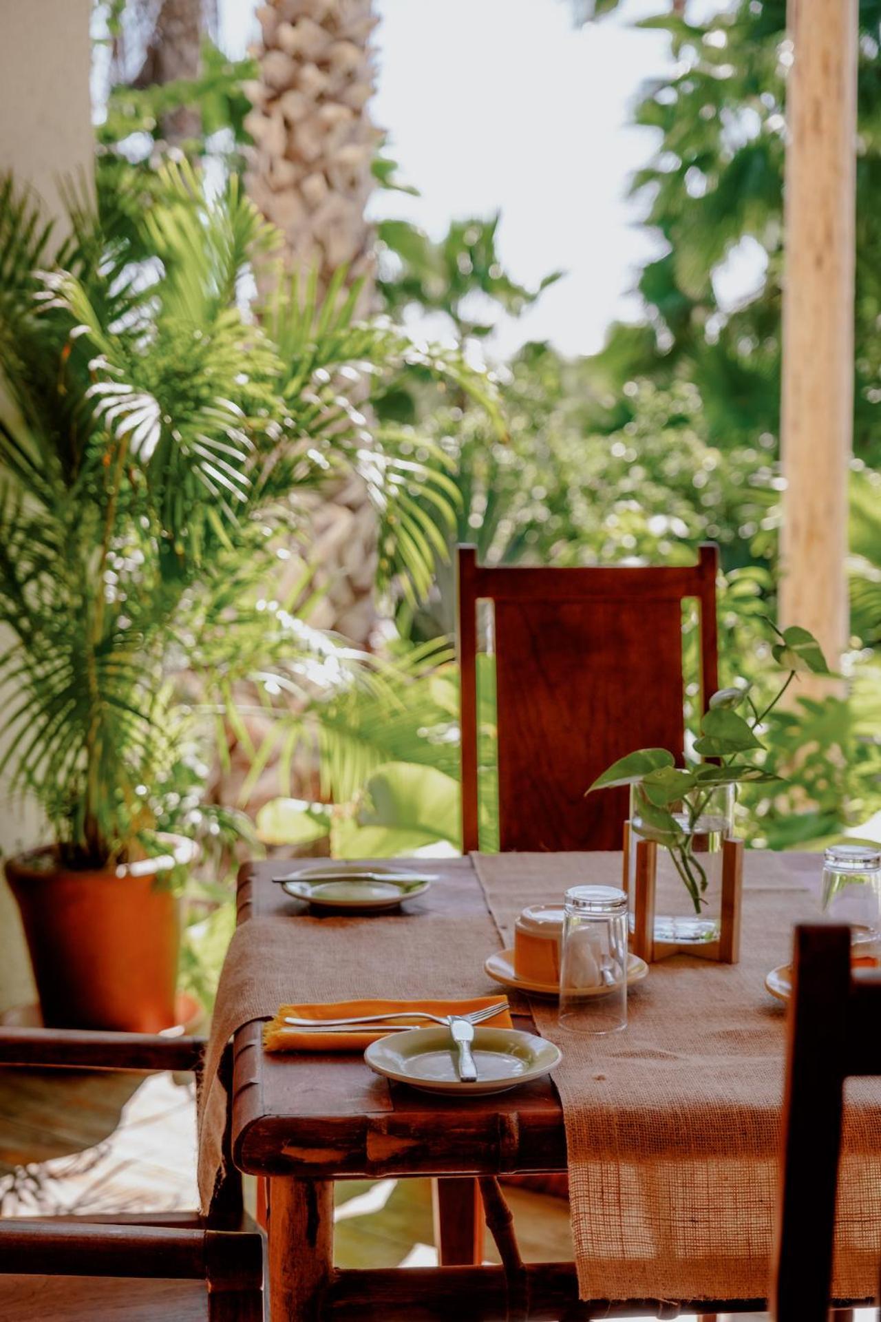 La Poza Boutique Hotel And Spa - Adults 15 Plus Todos Santos Zewnętrze zdjęcie