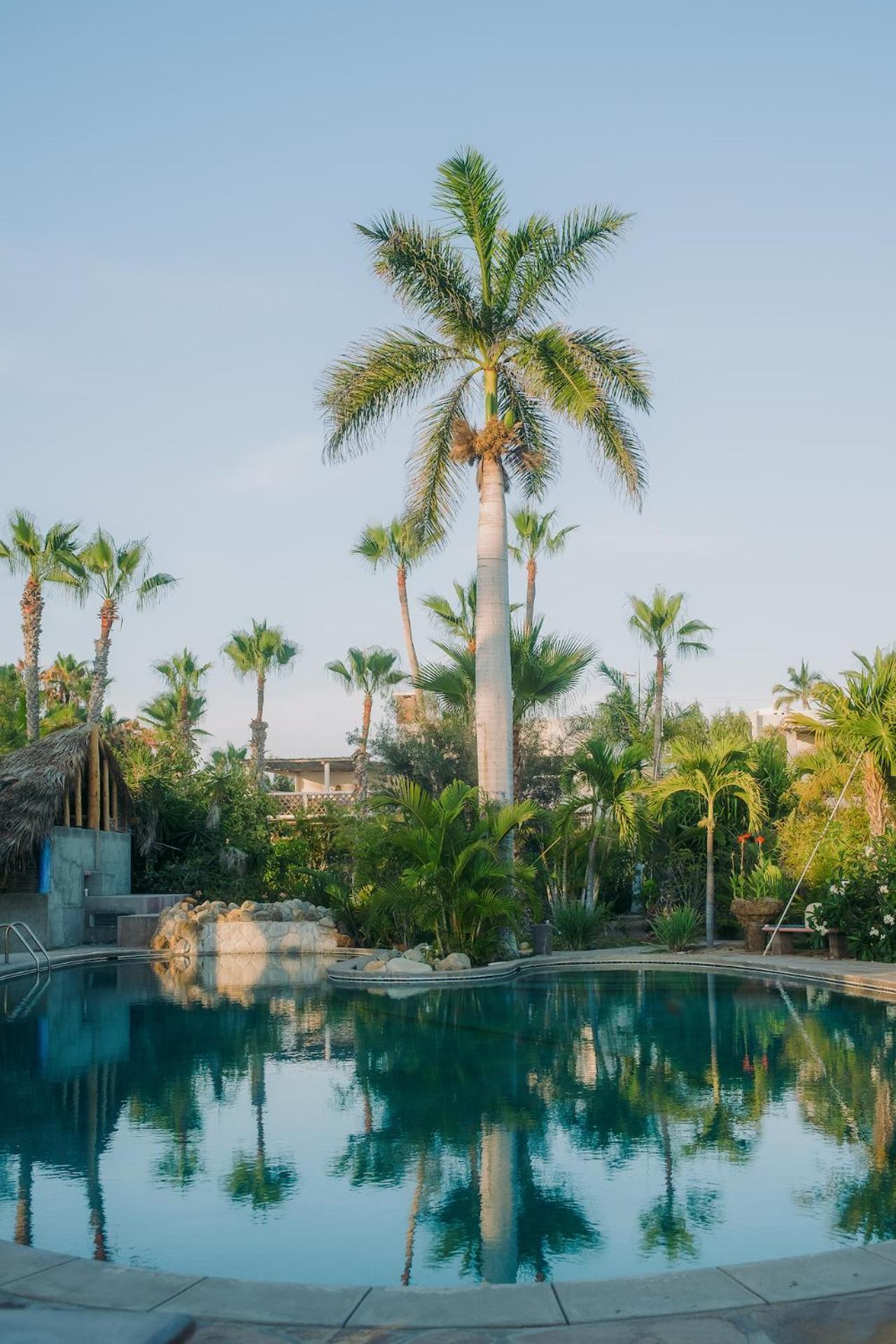 La Poza Boutique Hotel And Spa - Adults 15 Plus Todos Santos Zewnętrze zdjęcie