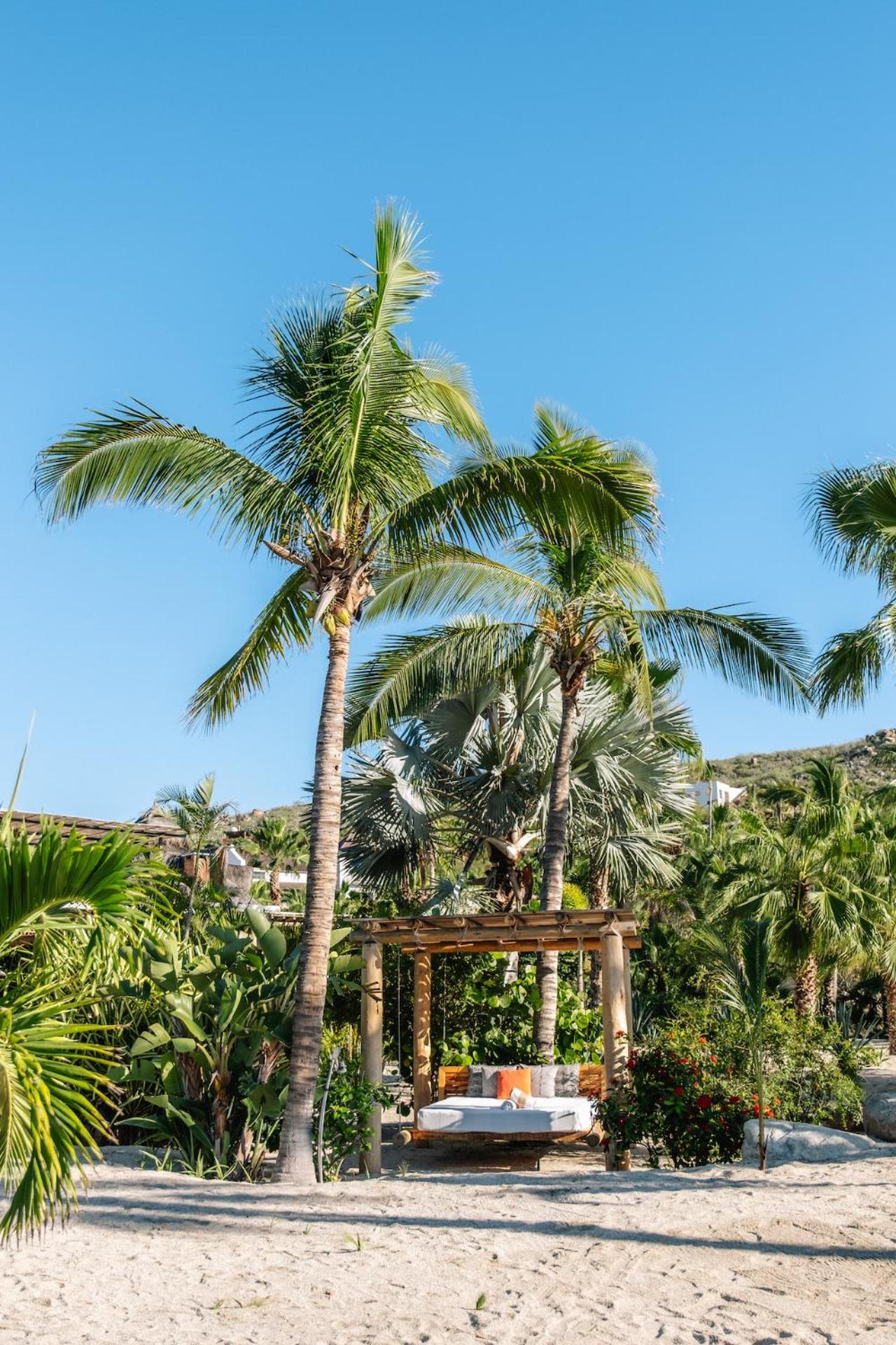 La Poza Boutique Hotel And Spa - Adults 15 Plus Todos Santos Zewnętrze zdjęcie